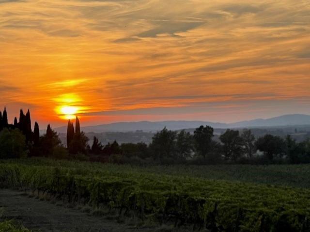 Podere Borgaruccio Peccioli Exteriör bild