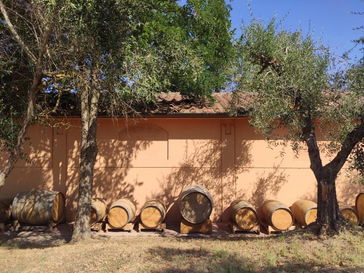 Podere Borgaruccio Peccioli Exteriör bild