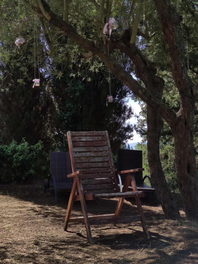 Podere Borgaruccio Peccioli Exteriör bild
