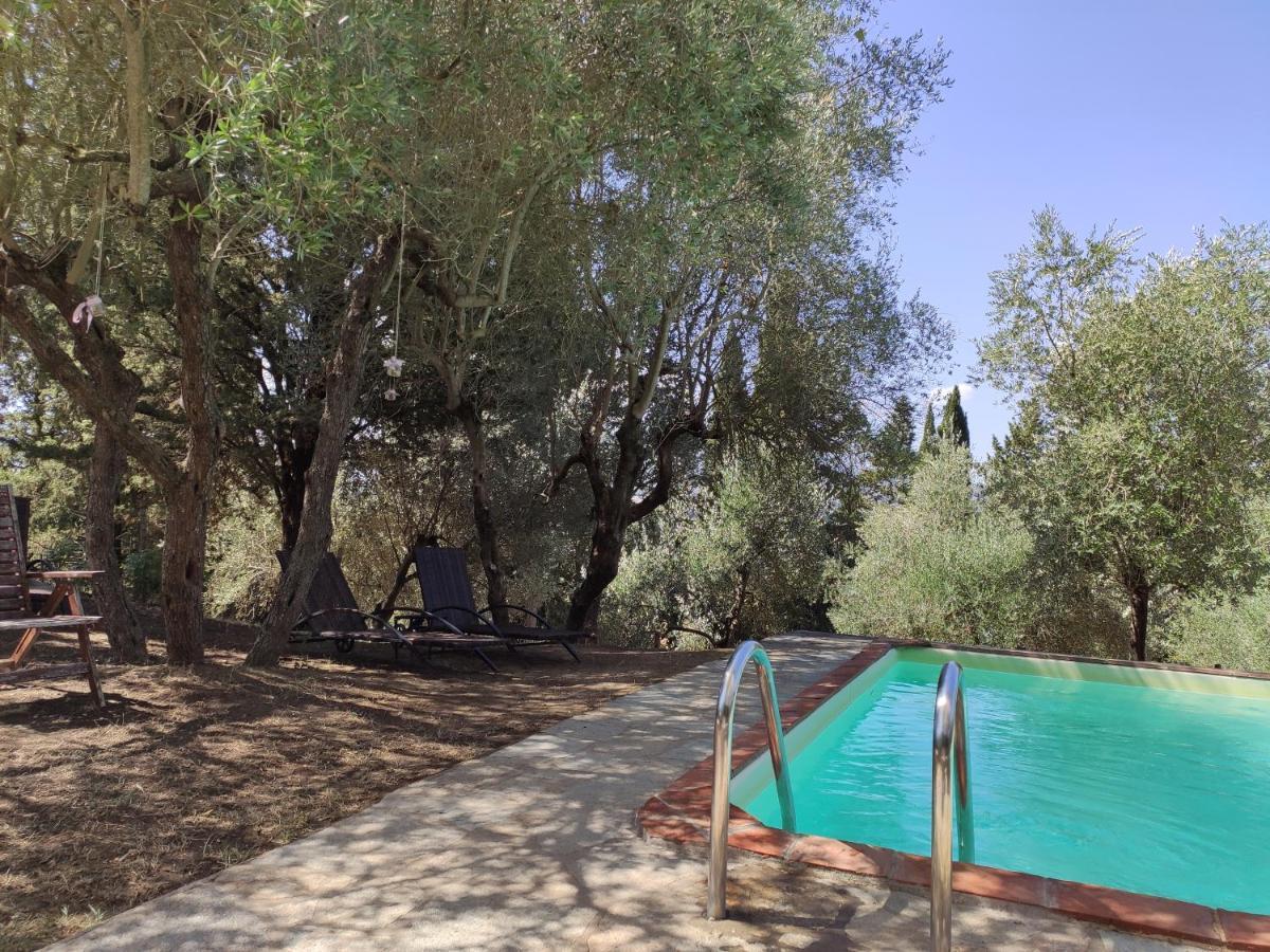 Podere Borgaruccio Peccioli Exteriör bild