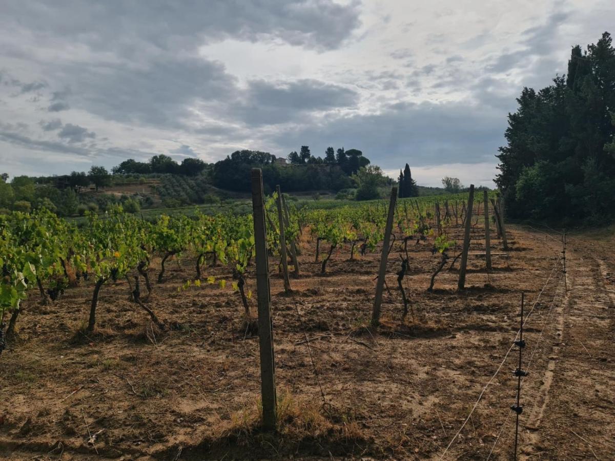 Podere Borgaruccio Peccioli Exteriör bild