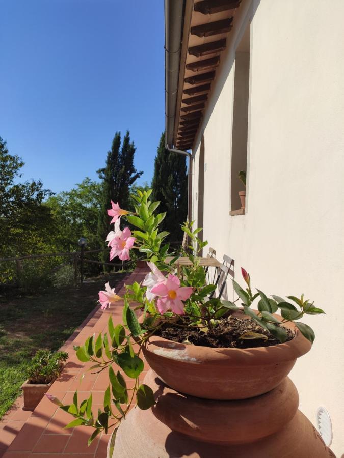 Podere Borgaruccio Peccioli Exteriör bild