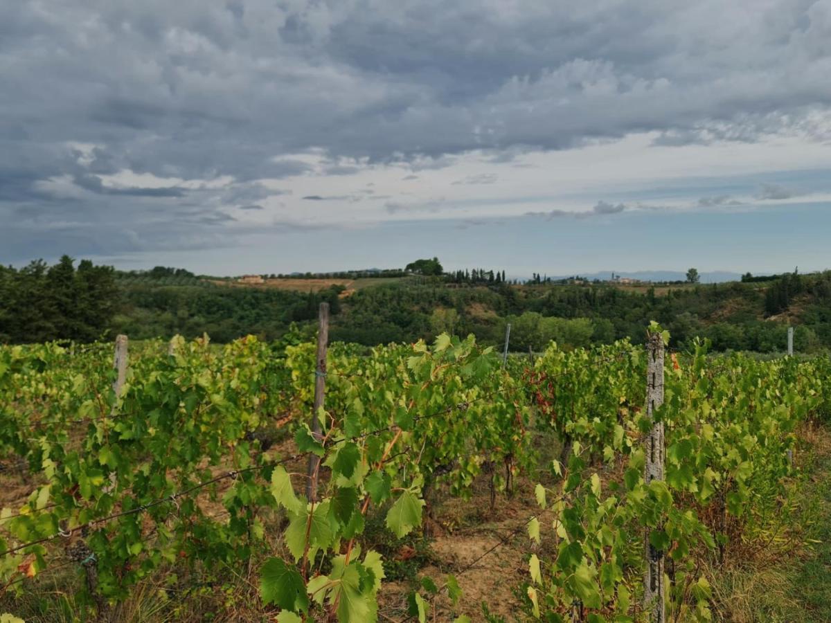 Podere Borgaruccio Peccioli Exteriör bild