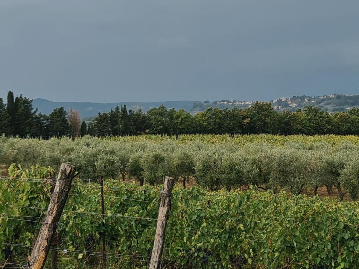 Podere Borgaruccio Peccioli Exteriör bild