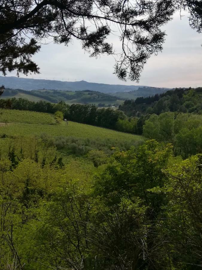 Podere Borgaruccio Peccioli Exteriör bild